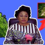 Congo-Brazzaville-journal-min